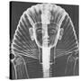 X-ray of an Egyptian Mask-Science Source-Stretched Canvas