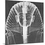 X-ray of an Egyptian Mask-Science Source-Mounted Giclee Print