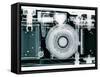 X-ray of Camera-Simon Marcus-Framed Stretched Canvas
