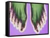 X-ray of Feet-null-Framed Stretched Canvas