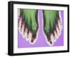 X-ray of Feet-null-Framed Premium Photographic Print