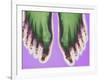 X-ray of Feet-null-Framed Photographic Print