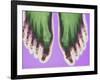 X-ray of Feet-null-Framed Photographic Print