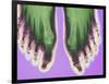 X-ray of Feet-null-Framed Photographic Print