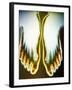 X-ray of Feet-null-Framed Photographic Print