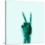 X-Ray of Hand Doing Peace Sign-null-Stretched Canvas