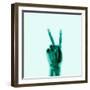 X-Ray of Hand Doing Peace Sign-null-Framed Premium Photographic Print