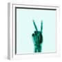 X-Ray of Hand Doing Peace Sign-null-Framed Premium Photographic Print