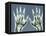 X-ray of Hands-null-Framed Stretched Canvas