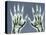 X-ray of Hands-null-Stretched Canvas