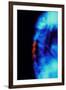 X-ray of Osteoporosis of the Thoracic Spine-Science Photo Library-Framed Photographic Print