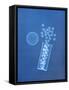 X-ray of Pills and Pill Bottle-Chris Rogers-Framed Stretched Canvas