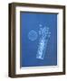 X-ray of Pills and Pill Bottle-Chris Rogers-Framed Photographic Print