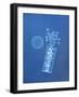 X-ray of Pills and Pill Bottle-Chris Rogers-Framed Photographic Print