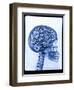 X-ray of skull with gears-Thom Lang-Framed Premium Photographic Print