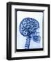 X-ray of skull with gears-Thom Lang-Framed Premium Photographic Print