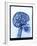 X-ray of skull with gears-Thom Lang-Framed Premium Photographic Print