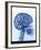 X-ray of skull with gears-Thom Lang-Framed Premium Photographic Print