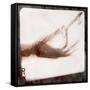 X-Ray Photograph of Person Holding Key-null-Framed Stretched Canvas
