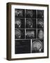 X-Ray Photographs of Person's Skull-null-Framed Photographic Print