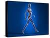 X-Ray View of a Naked Woman Walking, with Skeletal Bones Superimposed-null-Stretched Canvas