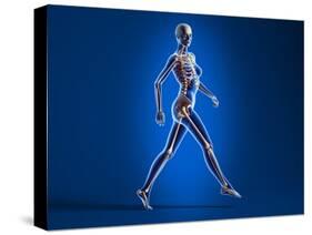 X-Ray View of a Naked Woman Walking, with Skeletal Bones Superimposed-null-Stretched Canvas