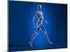 X-Ray View of a Naked Woman Walking, with Skeletal Bones Superimposed-null-Mounted Art Print
