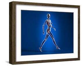 X-Ray View of a Naked Woman Walking, with Skeletal Bones Superimposed-null-Framed Art Print
