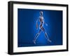 X-Ray View of a Naked Woman Walking, with Skeletal Bones Superimposed-null-Framed Art Print