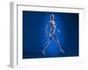 X-Ray View of a Naked Woman Walking, with Skeletal Bones Superimposed-null-Framed Art Print