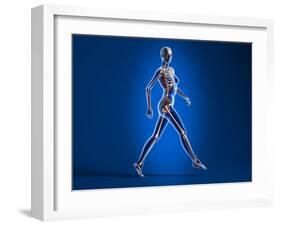 X-Ray View of a Naked Woman Walking, with Skeletal Bones Superimposed-null-Framed Art Print