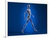 X-Ray View of a Naked Woman Walking, with Skeletal Bones Superimposed-null-Framed Art Print