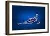 X-Ray View of a Woman Laying Down with Skeletal Bones Superimposed-null-Framed Art Print