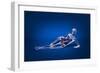 X-Ray View of a Woman Laying Down with Skeletal Bones Superimposed-null-Framed Art Print