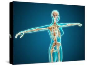 X-Ray View of Female Body Showing Skeletal System-null-Stretched Canvas