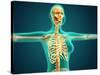 X-Ray View of Female Upper Body Showing Rib Cage, Spine and Skull-null-Stretched Canvas