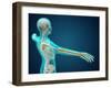 X-Ray View of Human Body Showing Skeletal Bones in the Arm and Hand-null-Framed Art Print