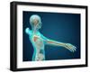 X-Ray View of Human Body Showing Skeletal Bones in the Arm and Hand-null-Framed Art Print