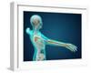 X-Ray View of Human Body Showing Skeletal Bones in the Arm and Hand-null-Framed Art Print