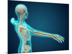 X-Ray View of Human Body Showing Skeletal Bones in the Arm and Hand-null-Mounted Art Print