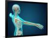 X-Ray View of Human Body Showing Skeletal Bones in the Arm and Hand-null-Framed Art Print