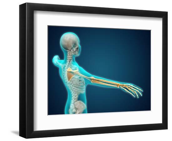 Art Print, , large