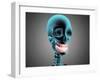 X-Ray View of Human Skeleton Showing Teeth and Gums-null-Framed Art Print