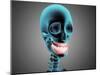 X-Ray View of Human Skeleton Showing Teeth and Gums-null-Mounted Art Print