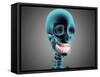 X-Ray View of Human Skeleton Showing Teeth and Gums-null-Framed Stretched Canvas