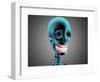 X-Ray View of Human Skeleton Showing Teeth and Gums-null-Framed Art Print