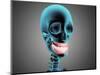 X-Ray View of Human Skeleton Showing Teeth and Gums-null-Mounted Art Print