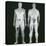 X-ray Views of Man During BodySearch Surveillance-null-Stretched Canvas