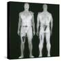 X-ray Views of Man During BodySearch Surveillance-null-Stretched Canvas