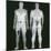 X-ray Views of Man During BodySearch Surveillance-null-Mounted Photographic Print